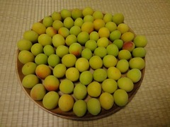 DSC02632_blog.jpg