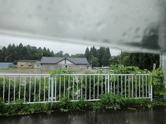 DSC02646_blog.jpg