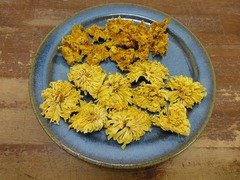 DSC02782_blog.jpg