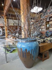 DSC02803_blog.jpg