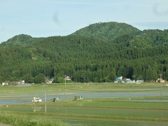 DSC02938_blog.jpg