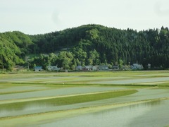 DSC02940_blog.jpg