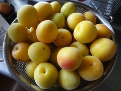 DSC02957_blog.jpg