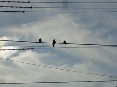 DSC02995_blog.jpg