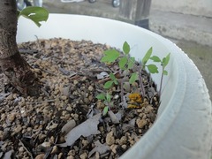 DSC03015_blog.jpg