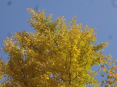 DSC03084_blog.jpg
