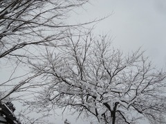 DSC03136_blog.jpg