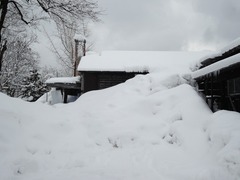DSC03137_blog.jpg