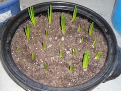 DSC03138_blog.jpg