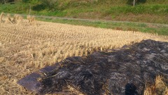 DSC_2093_blog.jpg