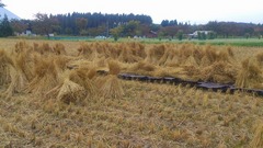 DSC_2101_blog.jpg