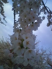 HI3B0088_blog.jpg