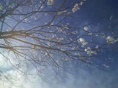 HI3B0200_blog.jpg