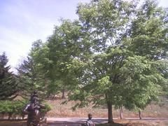 HI3B0460.JPG