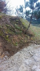 KIMG0068_blog.jpg